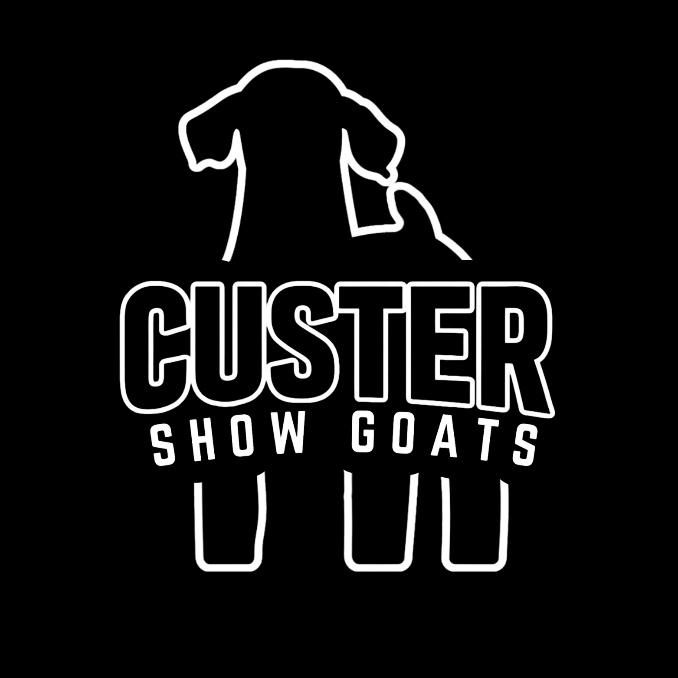 Custer Show Goats