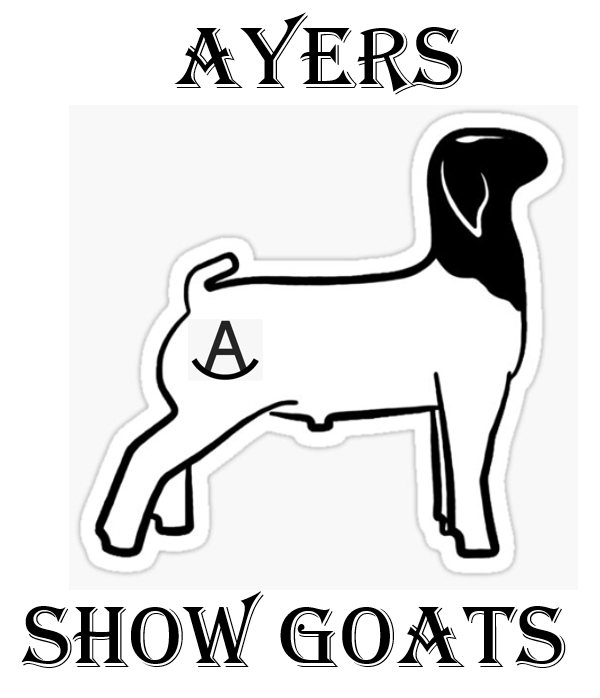 Ayers show
